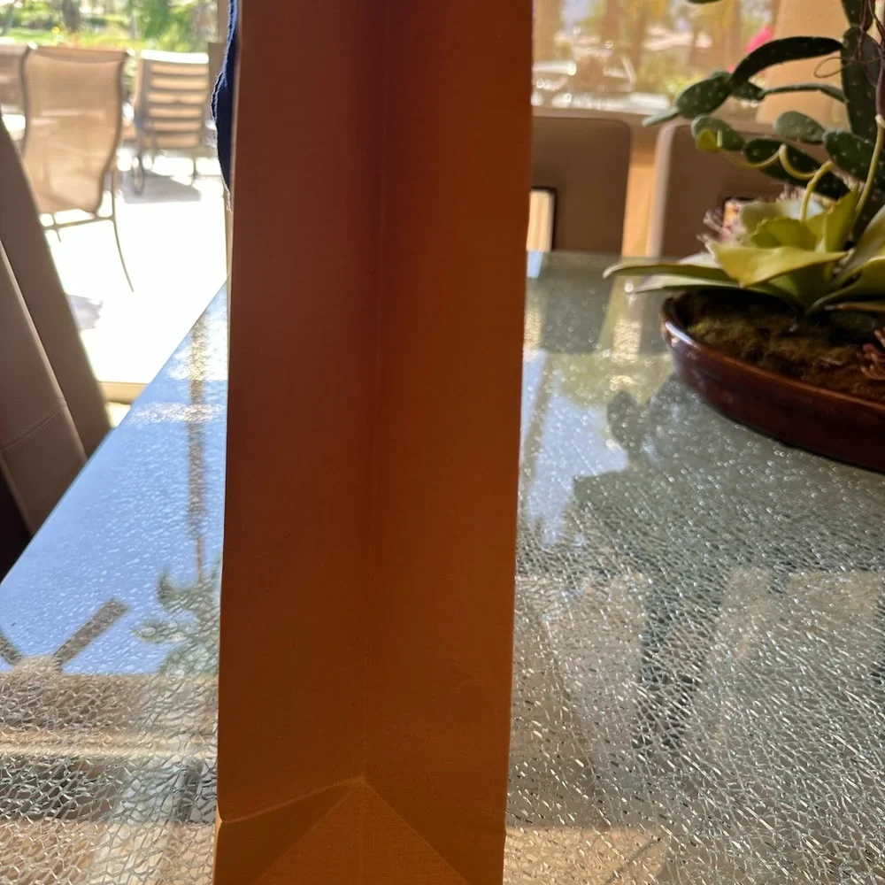Louis Vuitton Orange Paper Bag. 14 X 10 X 4